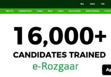 e-Rozgaar Program Employment Opportunities For 2020 e-Rozgaar Program