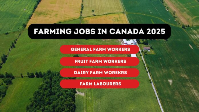 Farming Jobs In Canada 2025