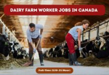 Full-Time Dairy Farm Worker Jobs in Canada Dairy Farm Worker Jobs In Canada