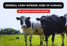 General Farm Worker Jobs in Canada General Farm Worker Jobs In Canada without experience
