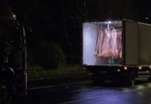 Delivery Drivers needed in Canada