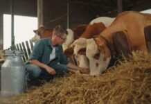 Beef Cattle Farm Workers needed in Canada