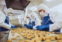 Hiring Now: Food Factory Workers in NZ
