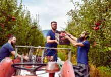 Farm Workers needed in Canada (Fruit)