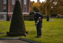 Groundperson/Garden Labourer needed in Australia