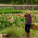 Farming Jobs in Canada (December, 2025)