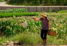 Farming Jobs in Canada (December, 2025)