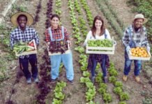 Filia Farm and Sanctuary Farm Worker Jobs in Kelowna, BC – Field & Vegetable Labourer