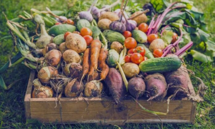 harvesting labourer needed to work with vegetables, mushroom and blueberries in canada