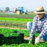 General Farm Laborer needed in Canada