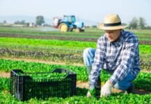 General Farm Laborer needed in Canada