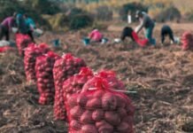 Harvesting Farm Laborers needed in Canada