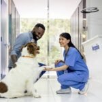 Veterinarians needed in Doha