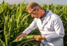 Farm Supervisor jobs in Keremeos BC (Canada)