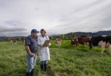 Foreman/Woman, Dairy Farm Workers needed in Canada