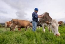 Farm Workers (Livestock) needed in Canada